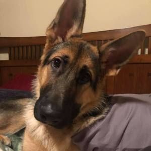 Meet your Posher, Kathy